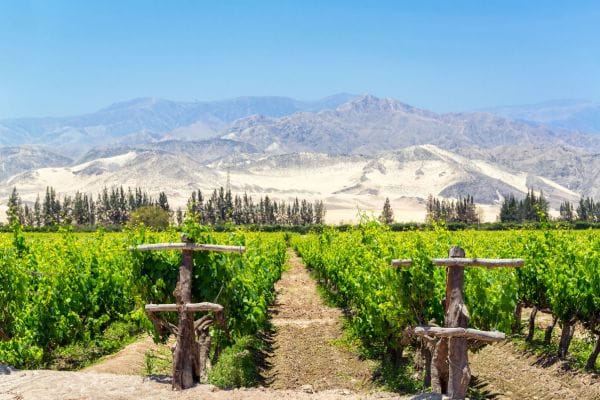 Rutas del Vino en León 3 Rutas del Vino en León