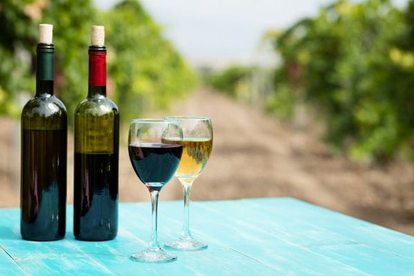 Rutas del Vino en Albacete 3 Rutas del Vino en Albacete
