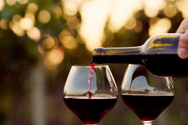 Rutas del Vino en Vizcaya 4 Rutas del Vino en Vizcaya