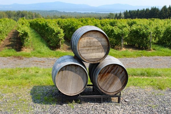 Rutas del Vino en A Coruña 4 Rutas del Vino en A Coruña