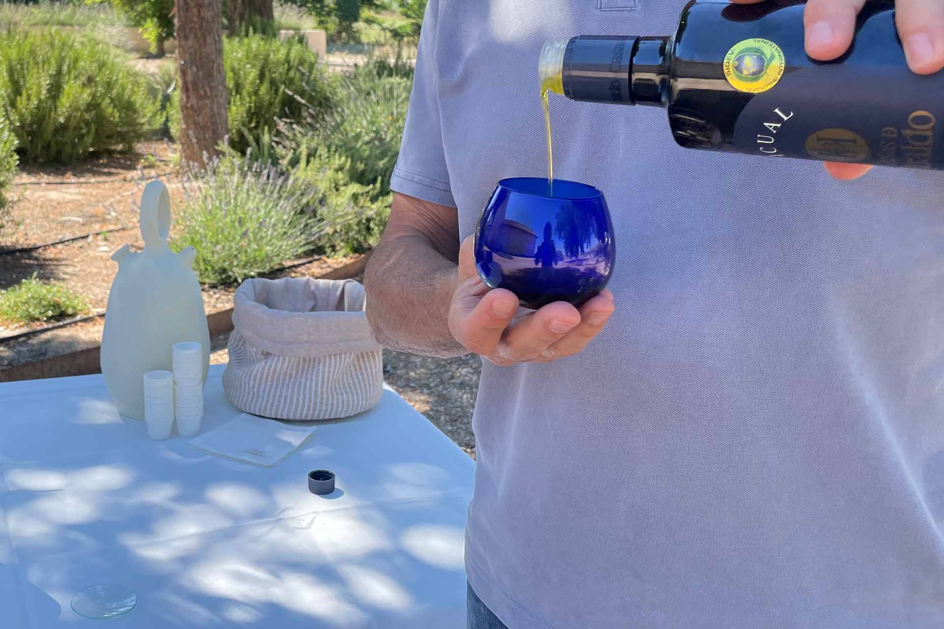 Cesta Ecológica 75 cata de aceite