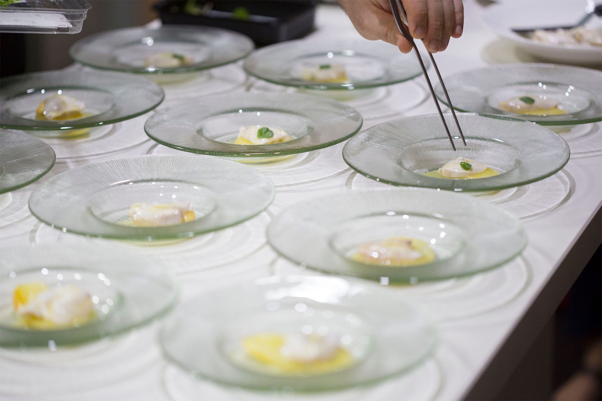 Cesta Ecológica 102 cata maridaje