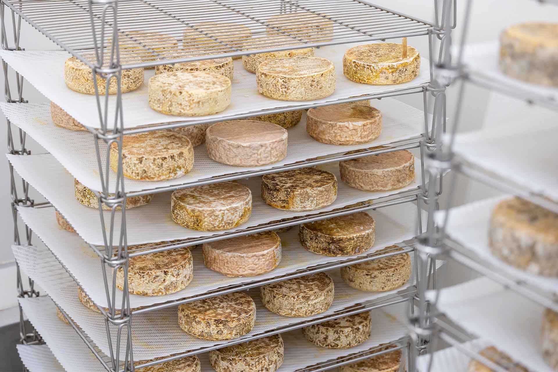 Cesta Ecológica 105 Visitas a Productores Locales