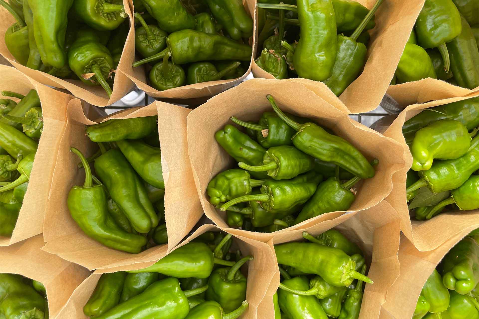 Degustaciones Productos Locales 85 Cesta Ecológica